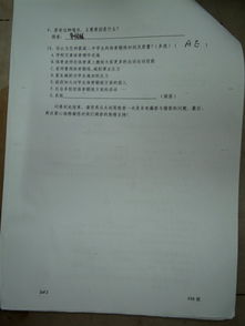 体育课作文450字左右