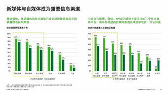 欧冠和欧洲杯哪个水平更高