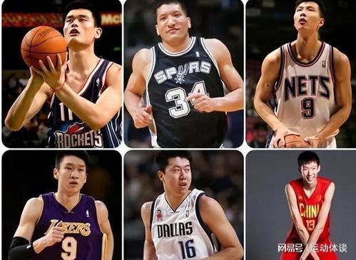 王治郅在nba的数据