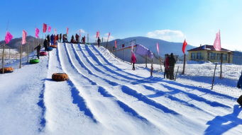 在上海可以滑雪了，全球最大室内雪场耀雪冰雪世界开业，增新手雪道