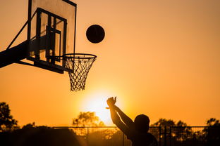 飞跃世纪的荣耀，回顾2000年NBA扣篮大赛的惊人瞬间与深远影响