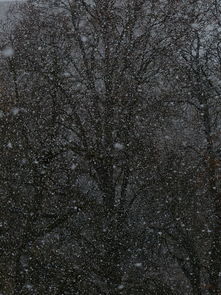 杭州暴雪预警，雪天里的生活与思考